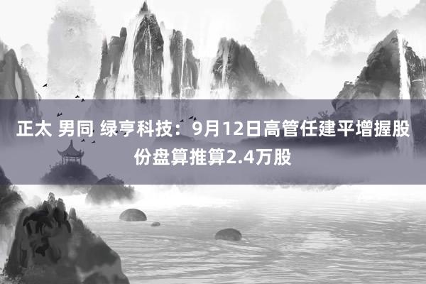 正太 男同 绿亨科技:9月12日高管任建平增握股份盘算推算2.4万股