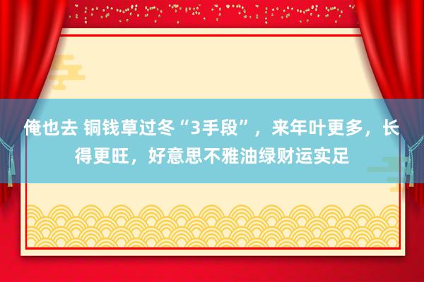 俺也去 铜钱草过冬“3手段”，来年叶更多，长得更旺，好意思不雅油绿财运实足