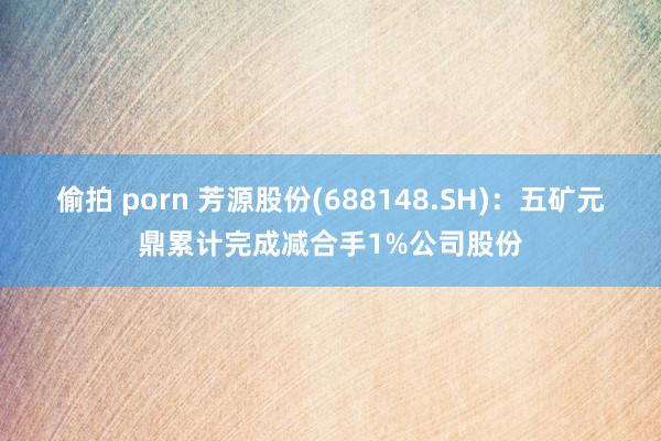 偷拍 porn 芳源股份(688148.SH)：五矿元鼎累计完成减合手1%公司股份