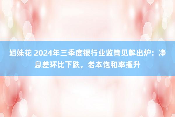 姐妹花 2024年三季度银行业监管见解出炉：净息差环比下跌，老本饱和率擢升