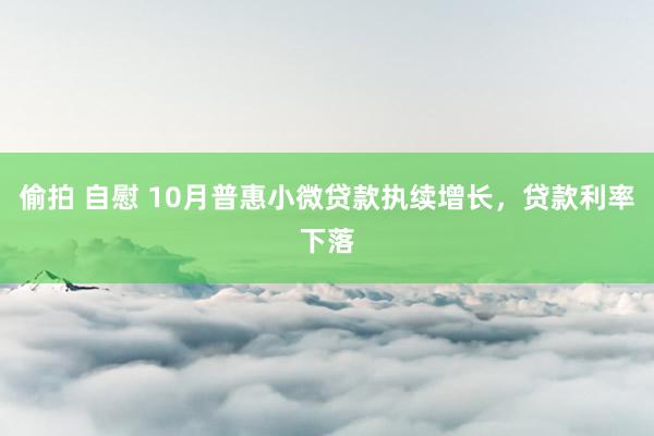 偷拍 自慰 10月普惠小微贷款执续增长，贷款利率下落