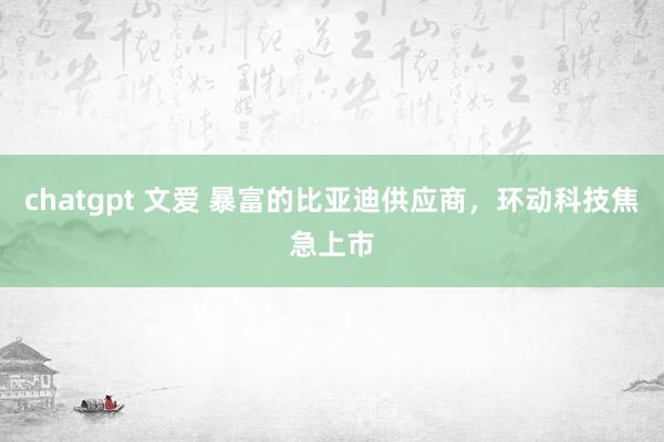 chatgpt 文爱 暴富的比亚迪供应商，环动科技焦急上市