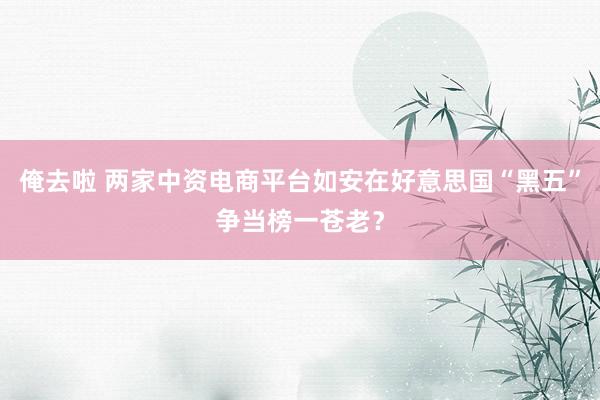 俺去啦 两家中资电商平台如安在好意思国“黑五”争当榜一苍老？