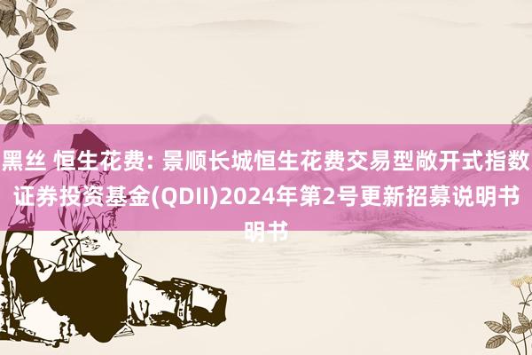 黑丝 恒生花费: 景顺长城恒生花费交易型敞开式指数证券投资基金(QDII)2024年第2号更新招募说明书
