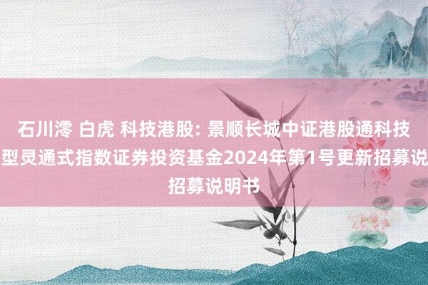 石川澪 白虎 科技港股: 景顺长城中证港股通科技交往型灵通式指数证券投资基金2024年第1号更新招募说明书