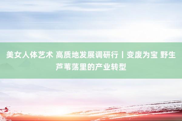 美女人体艺术 高质地发展调研行丨变废为宝 野生芦苇荡里的产业转型
