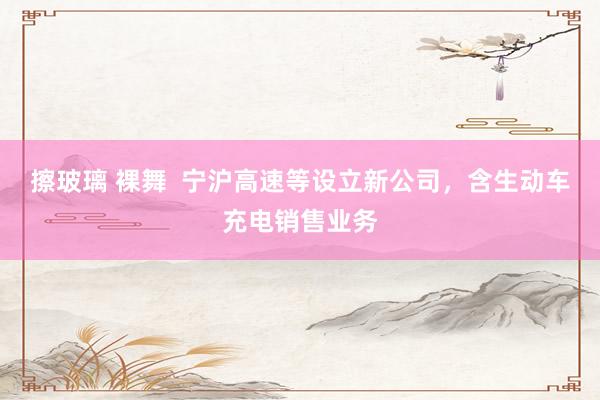 擦玻璃 裸舞  宁沪高速等设立新公司，含生动车充电销售业务