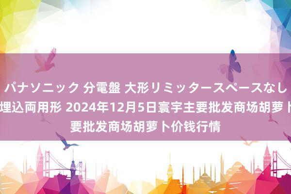 パナソニック 分電盤 大形リミッタースペースなし 露出・半埋込両用形 2024年12月5日寰宇主要批发商场胡萝卜价钱行情