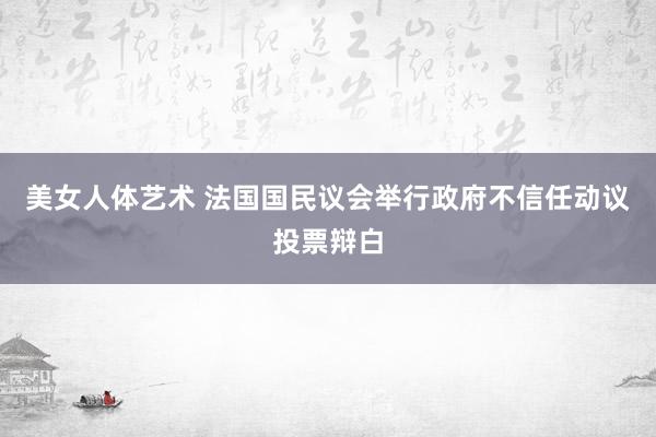 美女人体艺术 法国国民议会举行政府不信任动议投票辩白