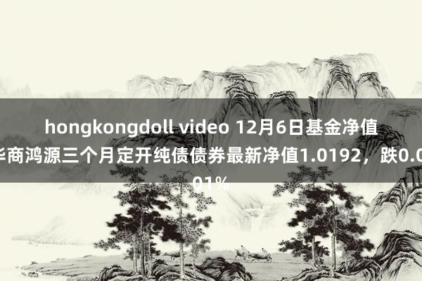 hongkongdoll video 12月6日基金净值：华商鸿源三个月定开纯债债券最新净值1.0192，跌0.01%