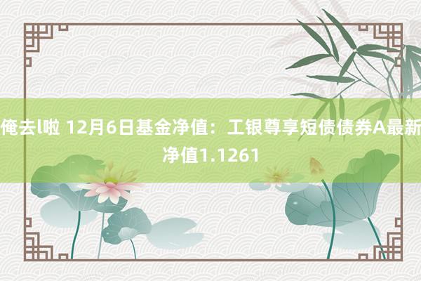 俺去l啦 12月6日基金净值：工银尊享短债债券A最新净值1.1261