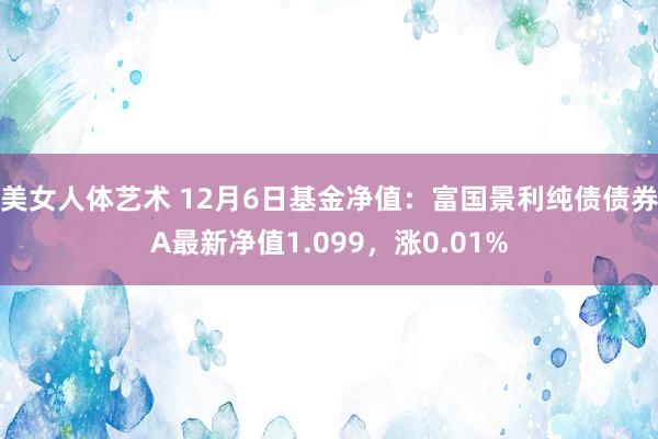 美女人体艺术 12月6日基金净值：富国景利纯债债券A最新净值1.099，涨0.01%