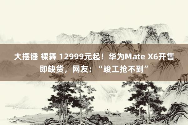 大摆锤 裸舞 12999元起！华为Mate X6开售即缺货，网友：“竣工抢不到”