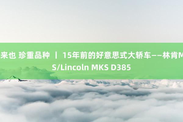 俺来也 珍重品种 丨 15年前的好意思式大轿车——林肯MKS/Lincoln MKS D385