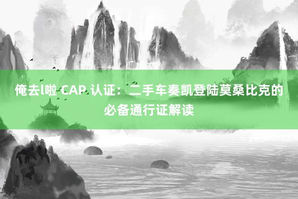 俺去l啦 CAP 认证：二手车奏凯登陆莫桑比克的必备通行证解读
