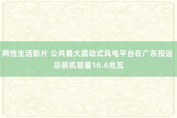 两性生活影片 公共最大震动式风电平台在广东投运 总装机容量16.6兆瓦