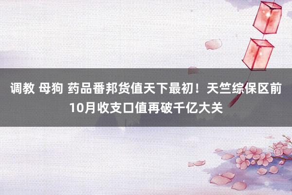 调教 母狗 药品番邦货值天下最初！天竺综保区前10月收支口值再破千亿大关