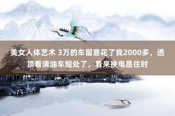 美女人体艺术 3万的车留意花了我2000多，透顶看清油车短处了，看来换电是往时