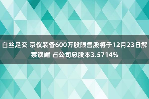 白丝足交 京仪装备600万股限售股将于12月23日解禁谀媚 占公司总股本3.5714%