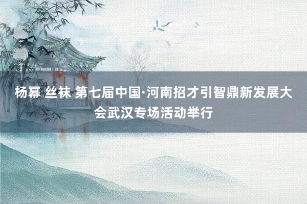 杨幂 丝袜 第七届中国·河南招才引智鼎新发展大会武汉专场活动举行