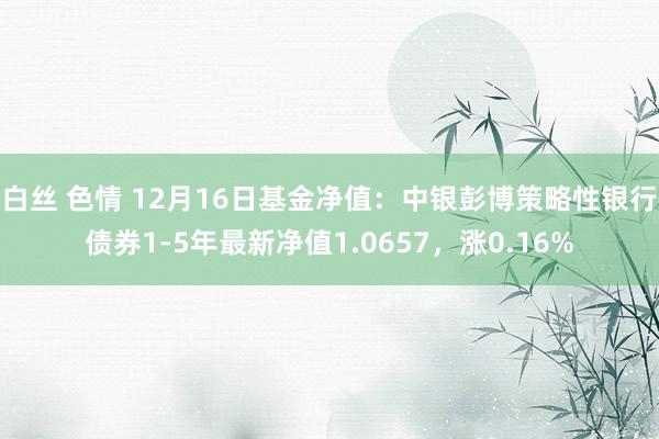 白丝 色情 12月16日基金净值：中银彭博策略性银行债券1-5年最新净值1.0657，涨0.16%