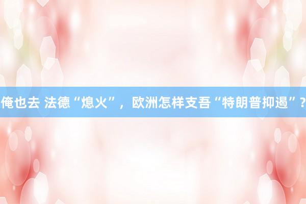俺也去 法德“熄火”，欧洲怎样支吾“特朗普抑遏”？