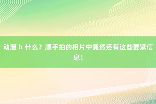 动漫 h 什么？顺手拍的相片中竟然还有这些要紧信息！