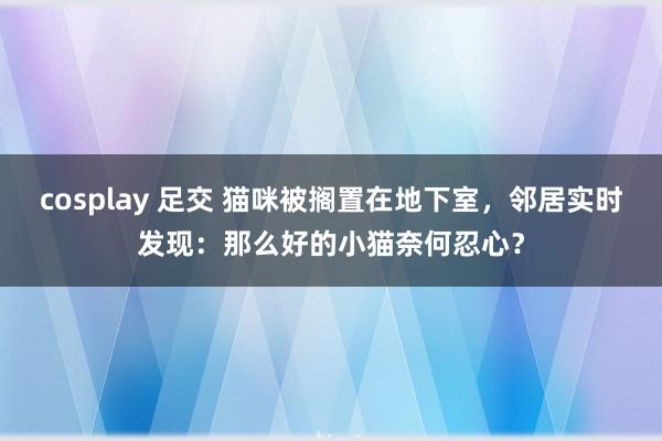 cosplay 足交 猫咪被搁置在地下室，邻居实时发现：那么好的小猫奈何忍心？