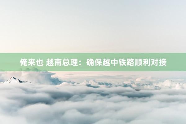 俺来也 越南总理：确保越中铁路顺利对接