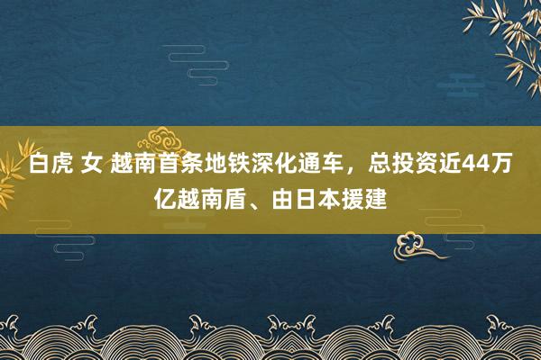 白虎 女 越南首条地铁深化通车，总投资近44万亿越南盾、由日本援建