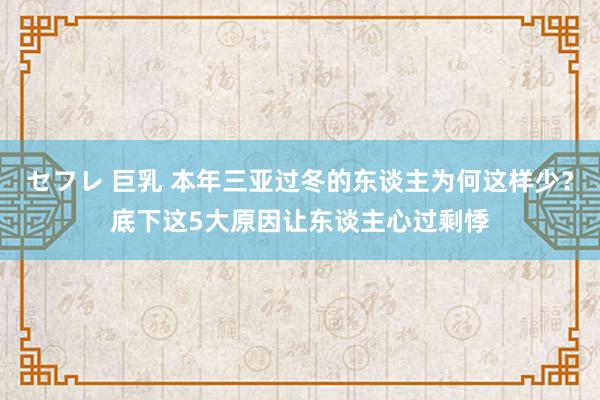 セフレ 巨乳 本年三亚过冬的东谈主为何这样少？底下这5大原因让东谈主心过剩悸