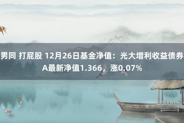 男同 打屁股 12月26日基金净值：光大增利收益债券A最新净值1.366，涨0.07%