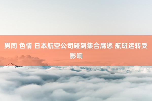 男同 色情 日本航空公司碰到集合膺惩 航班运转受影响