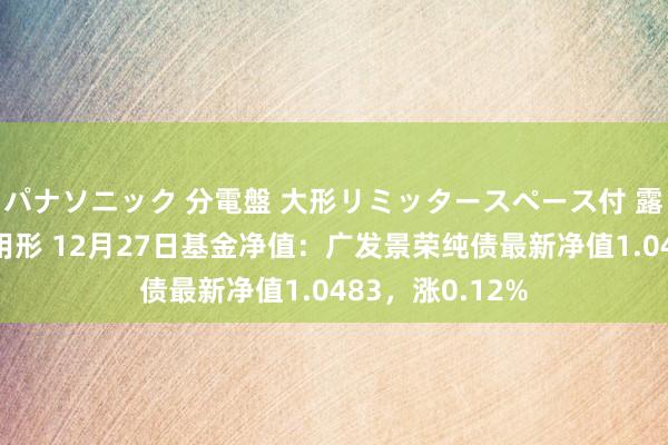 パナソニック 分電盤 大形リミッタースペース付 露出・半埋込両用形 12月27日基金净值：广发景荣纯债最新净值1.0483，涨0.12%