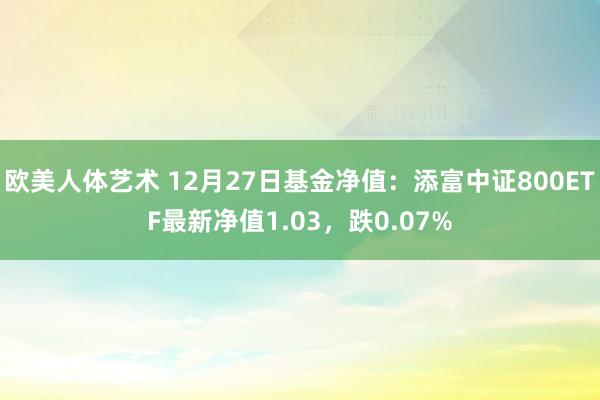 欧美人体艺术 12月27日基金净值：添富中证800ETF最新净值1.03，跌0.07%