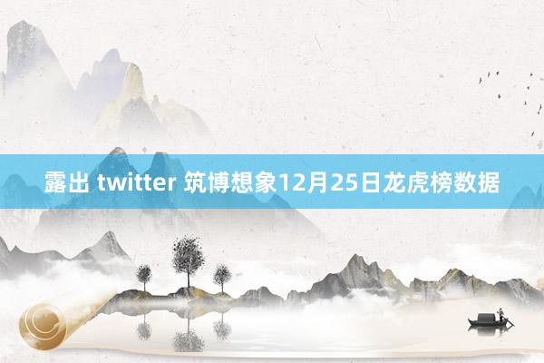 露出 twitter 筑博想象12月25日龙虎榜数据