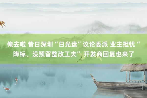俺去啦 昔日深圳“日光盘”议论委派 业主担忧“降标、没预留整改工夫” 开发商回复也来了