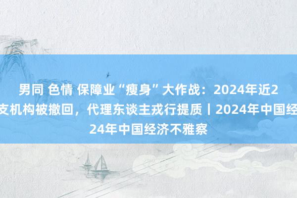 男同 色情 保障业“瘦身”大作战：2024年近2000家分支机构被撤回，代理东谈主戎行提质丨2024年中国经济不雅察