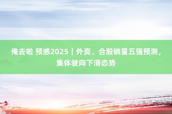 俺去啦 预感2025｜外资、合股销量五强预测，集体驶向下滑态势