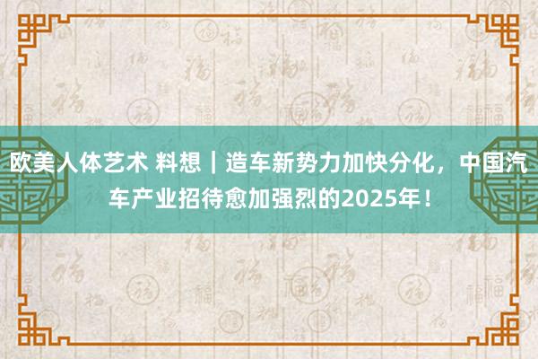 欧美人体艺术 料想｜造车新势力加快分化，中国汽车产业招待愈加强烈的2025年！