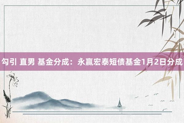 勾引 直男 基金分成：永赢宏泰短债基金1月2日分成