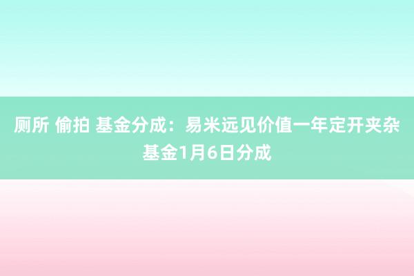 厕所 偷拍 基金分成：易米远见价值一年定开夹杂基金1月6日分成
