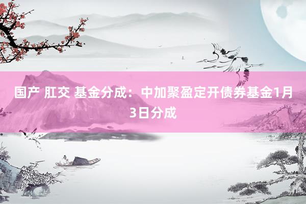 国产 肛交 基金分成：中加聚盈定开债券基金1月3日分成