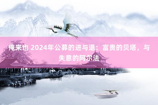 俺来也 2024年公募的进与退：富贵的贝塔，与失意的阿尔法