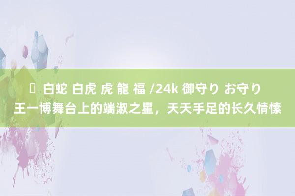 ✨白蛇 白虎 虎 龍 福 /24k 御守り お守り 王一博舞台上的端淑之星，天天手足的长久情愫