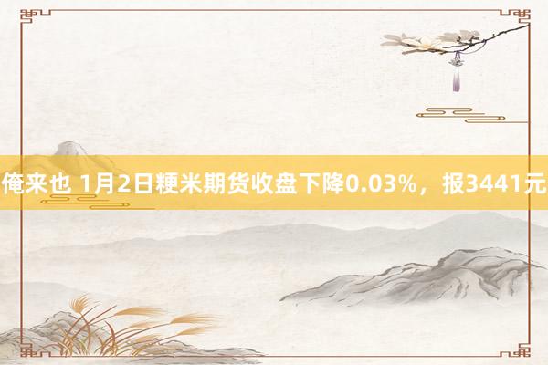 俺来也 1月2日粳米期货收盘下降0.03%，报3441元