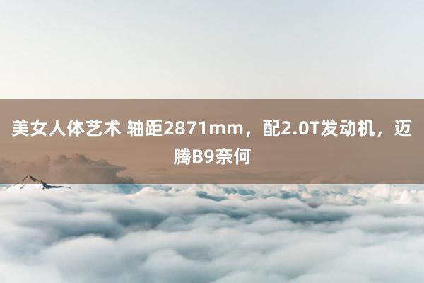 美女人体艺术 轴距2871mm，配2.0T发动机，迈腾B9奈何
