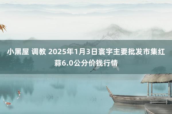 小黑屋 调教 2025年1月3日寰宇主要批发市集红蒜6.0公分价钱行情