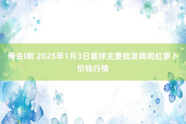 俺去l啦 2025年1月3日寰球主要批发阛阓红萝卜价钱行情