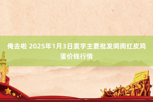 俺去啦 2025年1月3日寰宇主要批发阛阓红皮鸡蛋价钱行情